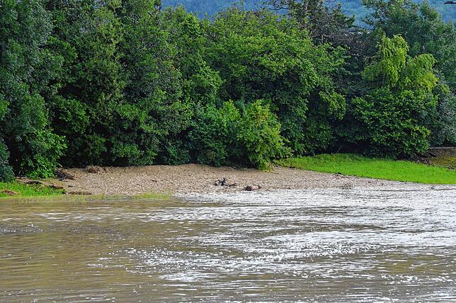 Bild 20: Bilder vom Unwetter in Markdorf: Evakuierung des Campingplatzes