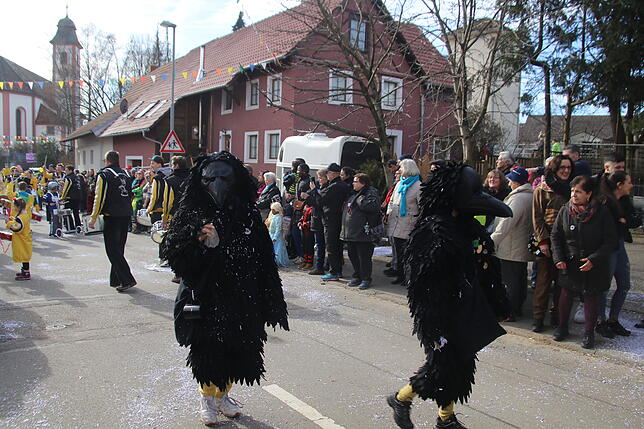 Bild 15: Bilder zum Narrentreffen in Schwerzen (1)