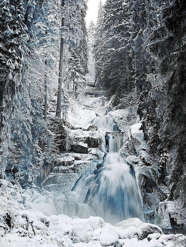 Der Triberger Wasserfall ist zu jeder Jahreszeit einen Besuch wert, der obere Teil ist im Winter aber wegen Unfallgefahr durch ...