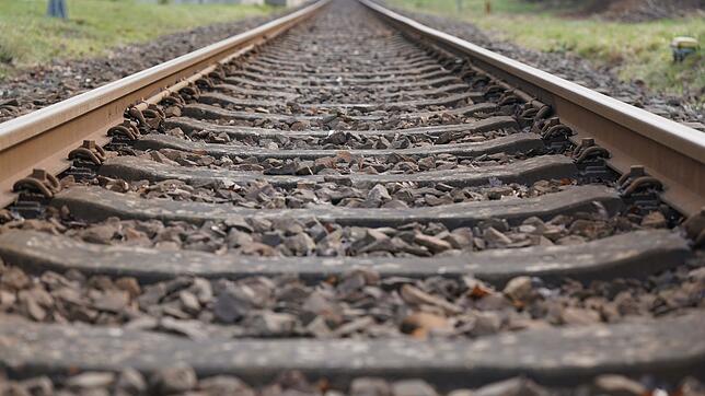 Der Zug hielt an der Ausfahrt des Karlsruher Bahnhofs. (Symbolbild)