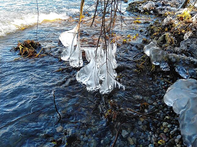Bild 16: Das Eis ist da! Zahlreiche Kufen-Freunde waren am Sonntag zwischen Hegne und der Reichenau unterwegs. Die Kälte sorgte außerdem für tolle Eisskulpturen