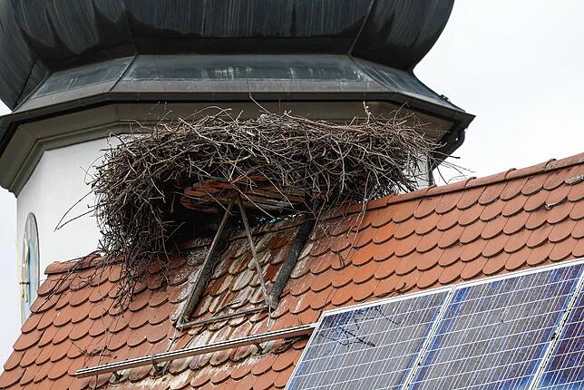 Das Storchennest am BUND-Zentrum in Möggingen. Dort lebten kürzlich noch vier Jungtiere – sie sind jedoch mutmaßlich aufgrund des ...