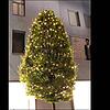 Das Foto dieses beleuchteten Baumes in der Schützenstraße schickte uns eine Leserin. Sie hat es am 3. September geschossen. Man sieht: ...