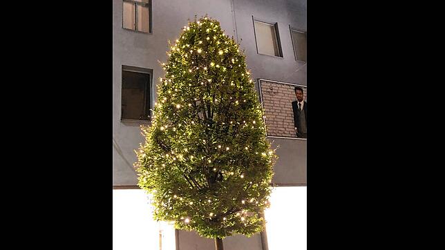 Das Foto dieses beleuchteten Baumes in der Schützenstraße schickte uns eine Leserin. Sie hat es am 3. September geschossen. Man sieht: ...