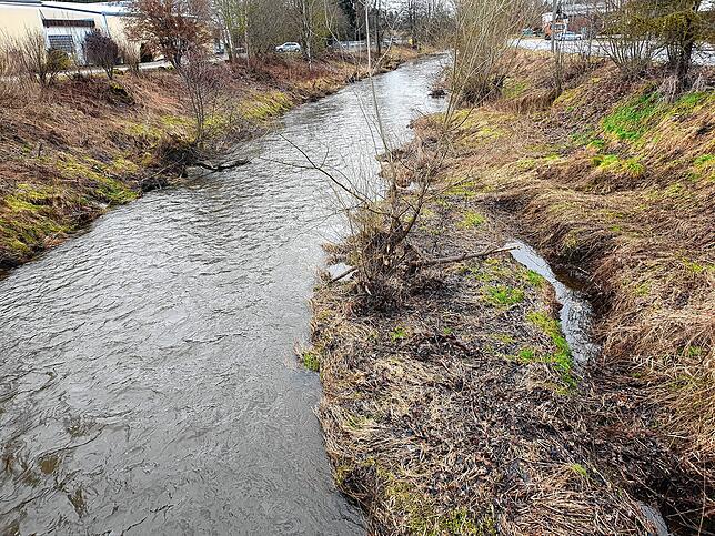 Am Ufer der Brigach in Donaueschingen wurde Dirk Brünker am 9. März 2023 gefunden – 77 Tage, nachdem er verschwunden war.