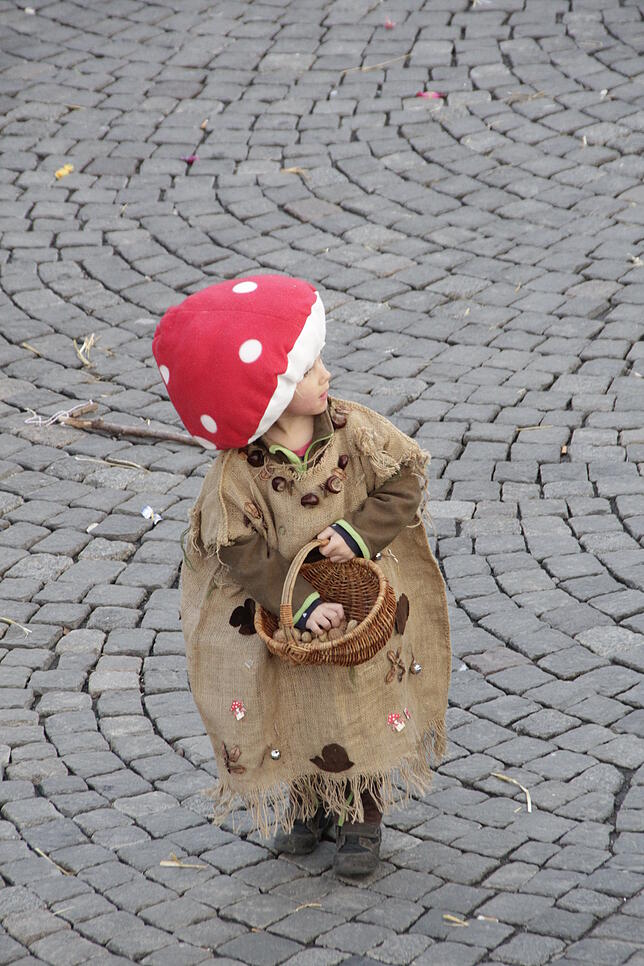Bild 8: Bilder vom großen Kinderumzug von oben – Teil 1