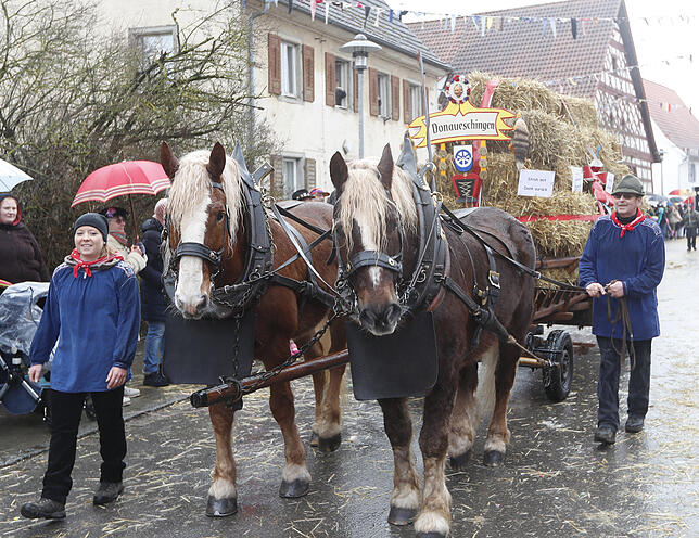 Bild 23: Bilder zum großen Narrentreffen in Pfohren (2)