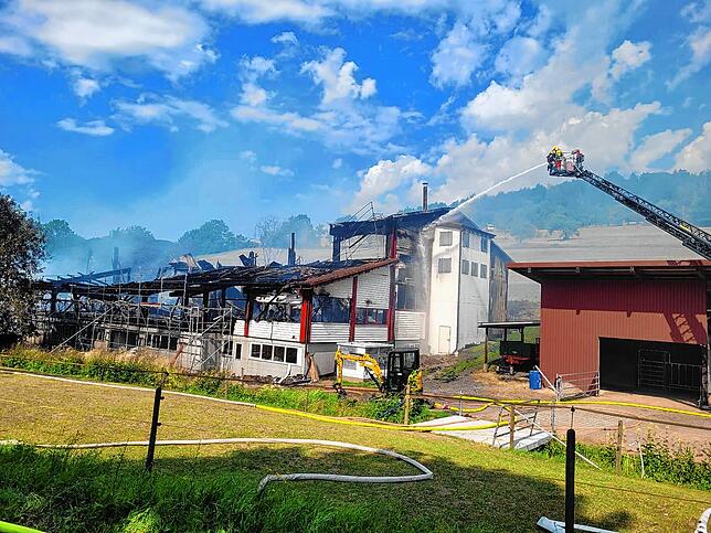 Bild 6: Bilder vom Großbrand der Produktionshalle in Mauchen