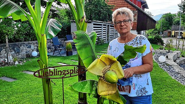 Corina Bluhm mit der Bananenstaude und einer schönen Blüte.