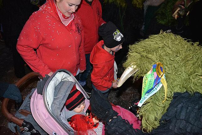 Bild 10: Narrentreffen der Urviecher-Zunft: Bilder vom Eröffnungsumzug (1)