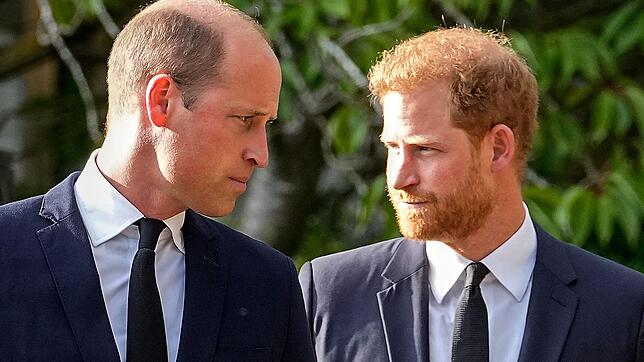 Als Teenager hatten Prinz William (links) und Prinz Harry zusammen mit „Rambo“ gemeinsame Tage in Frankreich verbracht.
