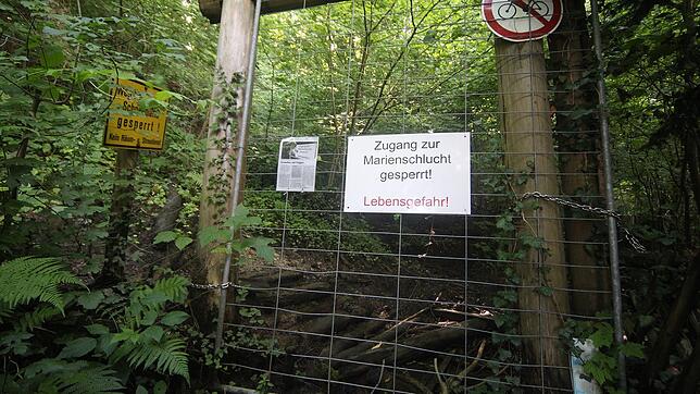 Zutritt verboten: Seit drei Jahren ist der schöne Uferweg am Bodanrück für Wanderer gesperrt.
