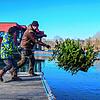 Mario Strissel und sein Sohn Erik versenken einen Tannenbaum im Klosterweiher. Der dient in den kommenden Monaten als Laichhilfe und ...