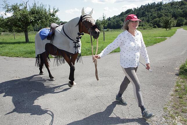 Ausflug im Hegau: Ines Hafka und Chaska sind unterwegs vom Homberg nach Aach.