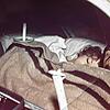 Nicht nur Transportmittel: Kurt Heizmann aus Vöhrenbach schläft in seinem ersten Auto. Mit der Ente fuhr er im September 1969 in die ...