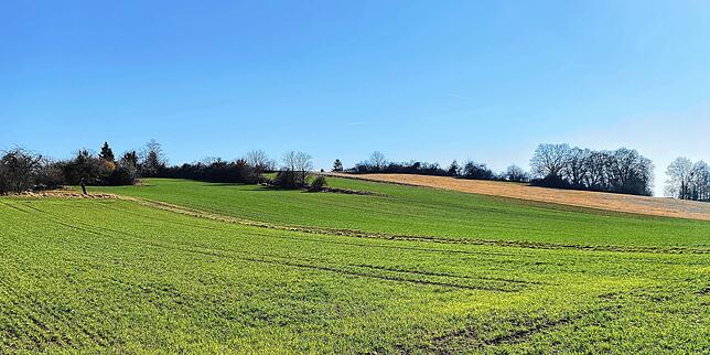 Noch sind da vor allem Äcker und Grasland. Im neuen Stadtteil Hafner soll nach den Vorstellungen der Stadt Konstanz ein riesiges ...