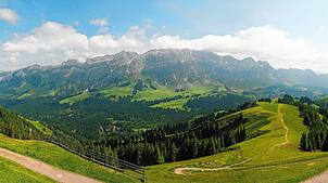 Ein Blick auf den Säntis-Gipfel präsentiert mehr Grün als zu dieser Jahreszeit üblich.