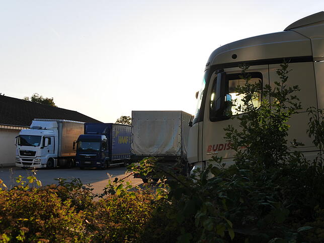Parkplatz für alle: Speziell in den frühen Abendstunden tummeln sich auf dem Aldi-Parkplatz in Bad Säckingen massenhaft LKW der ...