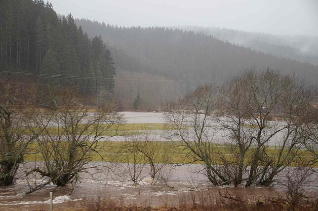 Bild 10: Land unter im Bregtal &ndash; Feuerwehren sind im Einsatz