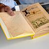 Ein gesuchtes Buch: Wer Lucian Reichs Reiseführer „Die Insel Mainau und der badische Bodensee“ im Original besitzen will, muss in einem ...