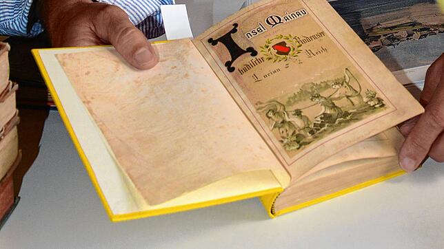 Ein gesuchtes Buch: Wer Lucian Reichs Reiseführer „Die Insel Mainau und der badische Bodensee“ im Original besitzen will, muss in einem ...