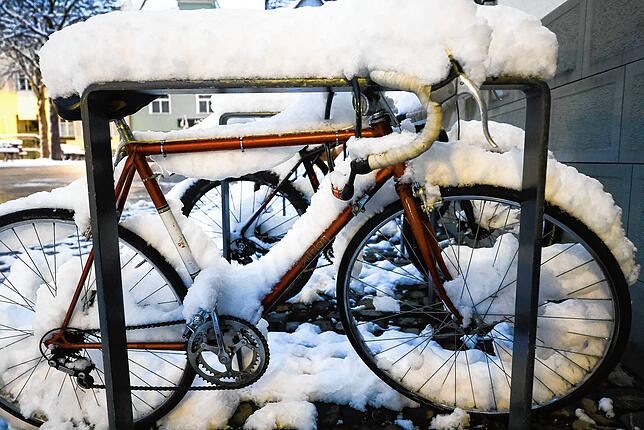Bild 13: Wintereinbruch in Radolfzell: Die schönsten Bilder vom ersten Schnee