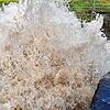 Am Wasserrückhaltebecken im Aachtoibel schießt das aufgestaute Wasser unterhalb des Staudamms heraus und fließt in die Aach.