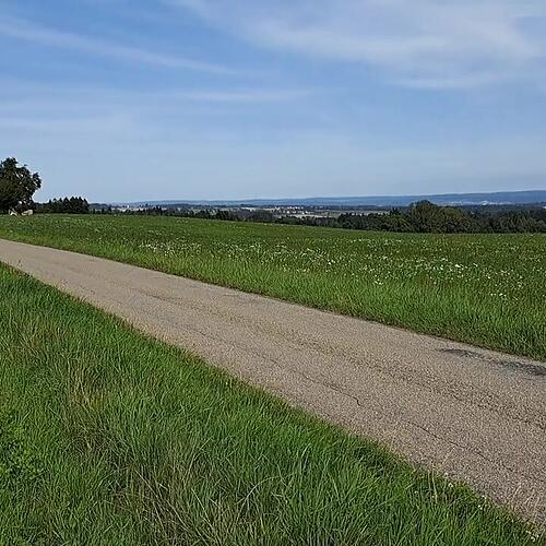 Ganz gemütlich fährt der Buick über die Landstraße