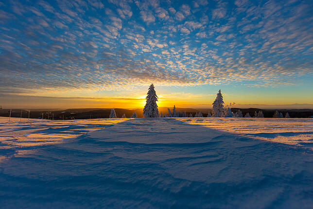 Dieses Bild auf dem Feldberg ist am 3. Januar entstanden.
