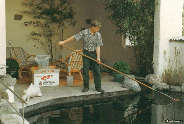 1997: Richard Hilble bei der Arbeit mit seinen Kois. Das Reinigen und Sauberhalten des Teichs ist sehr wichtig. 2022: Richard Hilble auf ...