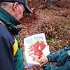 Sie sind in großer Sorge um den Wald (von links): Walter Jäger, Leiter des Forstamtes im Landratsamt Konstanz, und Försterin Irmgard ...