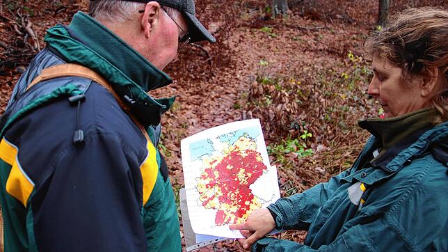Sie sind in großer Sorge um den Wald (von links): Walter Jäger, Leiter des Forstamtes im Landratsamt Konstanz, und Försterin Irmgard ...