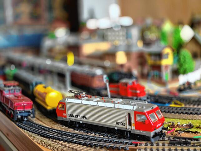 80 Loks, 75 Wagen und rund 100 Häuser und Zubehör will Martin B. verkaufen.