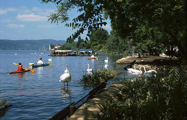Bild 14: Pfingsthochwasser 1999: Das Jahrhundertereignis in Bildern