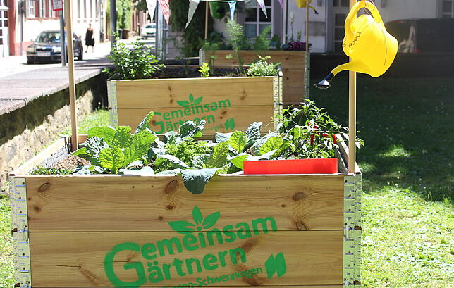 Unser Archivbild aus dem Jahr 2019 zeigt die gut gepflegten Beete der Aktion Gemeinsam Gärtnern an der Josefsgasse in Villingen.