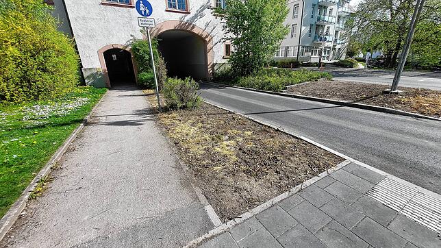 Braune, tote Beet-Flächen vor dem Stadttor: Dieses Bild bietet sich derzeit in Hüfingen. Auf einer Fläche nebenan gibt es sattes Grün ...