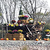 Herbstlich bunt dekoriert haben die Mitarbeiter von Stadtgärtnerei und Bauhof den Verkehrskreisel auf der B 27 an der Blumberger ...