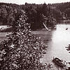 Erholung: Die Eröffnung des Waldbades bedeutete das Ende des Rhein-, des Bergseebades sowie des Obersäckinger Badeortes. Bild: Stadtarchiv