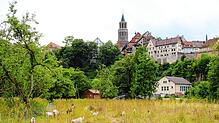 Das Gelände der Landesgartenschau in Rottweil wird sich bis 2028 noch deutlich verändern.