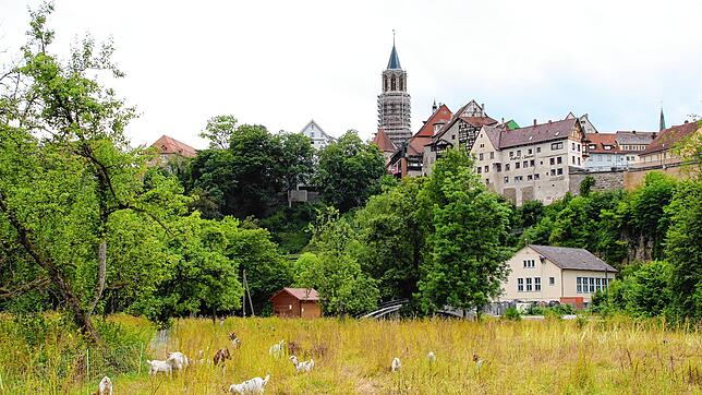 Das Gelände der Landesgartenschau in Rottweil wird sich bis 2028 noch deutlich verändern.