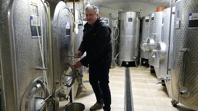 Kellermeister Dietmar Leipert prüft den Jungwein in den Fässern des Kellers in Haus Rabenfels.