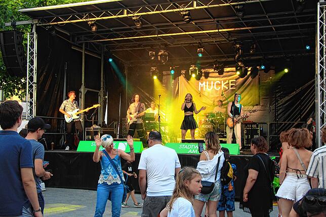 Bild 5: Bilder vom Überlinger Promenadenfest