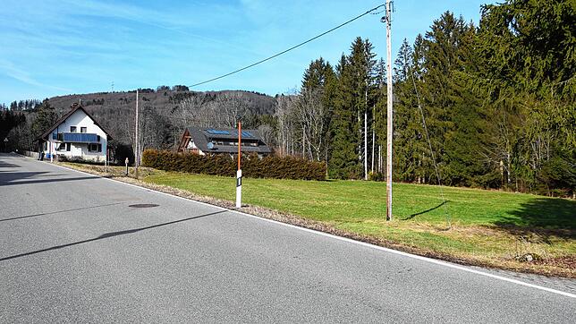 Auf diesem Grundstück am Ortsrand von Hottingen plant die Firma Zipfel aus Görwihl die Errichtung von drei Mehrfamilienhäusern.
