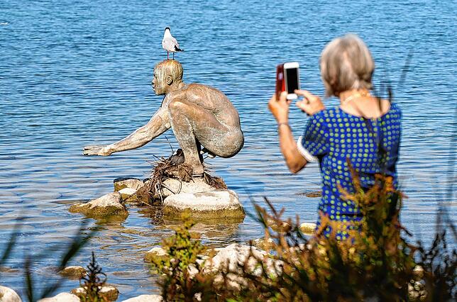 Nicht nur bei Touristen ein beliebtes Fotomotiv: El Nino samt Brutvogel und Möwenbesuch am Radolfzeller Seeufer.