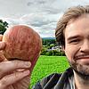 In den kommenden Monaten sind im Stadtgebiet mehrere Stellen ausgewiesen, an denen Bürgerinnen und Bürger Obst von den Bäumen pflücken ...