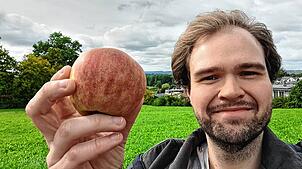 In den kommenden Monaten sind im Stadtgebiet mehrere Stellen ausgewiesen, an denen Bürgerinnen und Bürger Obst von den Bäumen pflücken ...