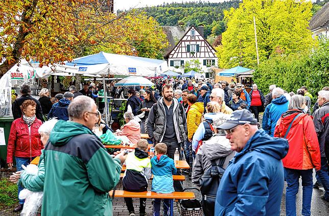 Bild 7: Bilder vom Büllefest in Moos