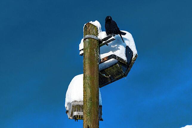 Winterimpression aus VS-Zollhaus.
