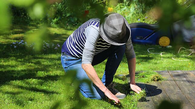Schmutzige Kleidung nach der Gartenarbeit: hartnäckige Pflanzensäfte und Erdverschmutzungen am besten schnell behandeln.
