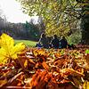 Kleine Ferien, große Erlebnisse: So wird der Herbst 2025 unvergesslich. Spaziergänger sitzen im Herbstlaub in der Sonne.